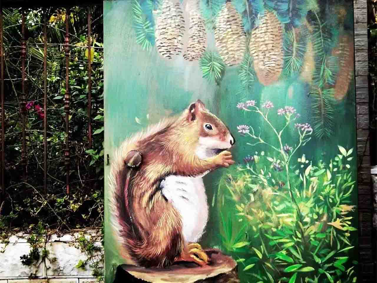 市政景区街道配变电箱写实动物松鼠墙绘壁画彩绘涂鸦手绘成都澜泉文化